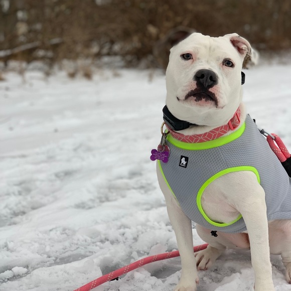 Meet your Posher, Andrew - Picture 1 of 1